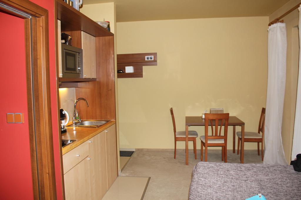 Apartman S Velkou Terasou Luxus Tatry E106 韦尔卡鲁穆尼卡 外观 照片